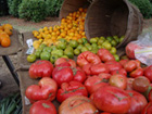 Lexington Farmers Market 2014