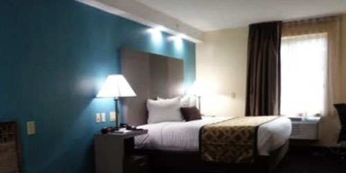 Dog Friendly Hotels Plymouth Ma Dog Friendly Hotels Plymouth Ma