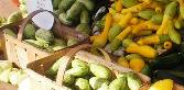 Sandwich Farmers Market 2014