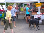 Waltham Farmers Market 2014