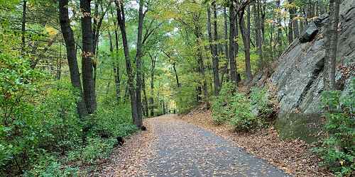 Paved Trail - Breakheart Reservation - Saugus, MA