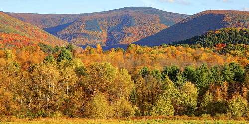 Fall View of Mount Greylock State Reservation - North Adams, MA - Photo Credit MOTT