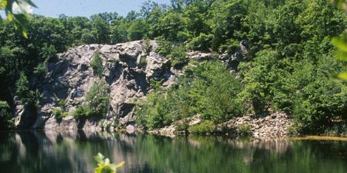 Riverside Cliff - Freetown-Fall River State Forest - Assonet, MA - Photo Credit MA State Parks