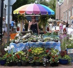 Nantucket Farmers and Artisans Market 2014