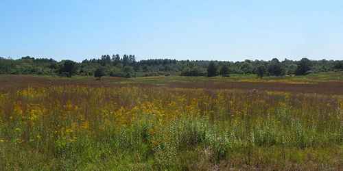 Manuel Correllus State Forest - Edgartown, MA - Photo Credit MA State Parks