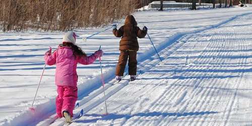 Maple Corner Farm XC Skiing - Granville, MA