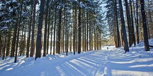 Notchview Reservation XC Skiing - Windsor, MA