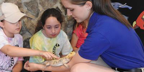 Reptile Exhibit 500x250 - Southwick's Zoo - Mendon, MA