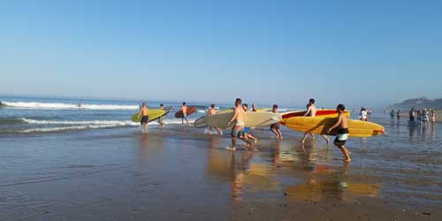 Surfers at White Crest Beach, Wellfleet Credit Greta Georgieva