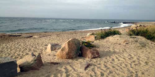 Menauhant-Beach,-Falmouth-Credit-Kristen-Mitchell-Hughes