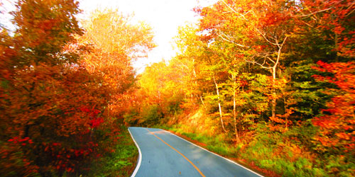 Fall Foliage in Massachusetts - Scenic Drive on Mount Greylock State Reservation - Photo Credit MOTT