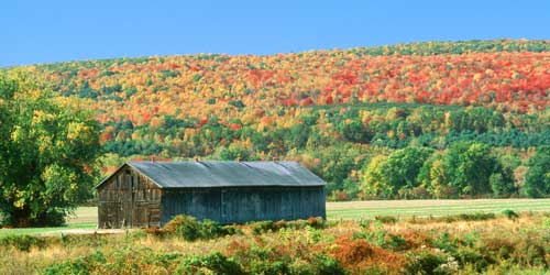 Fall Foliage in Massachusetts - Connecticut River Scenic Byway near Deerfield, MA