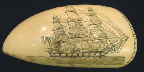 scrimshaw at New Bedford-Whaling Museum-credit-shutterstock