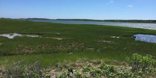 Cape Poge Wildlife Refuge - Photo Credit Trustees of Reservations