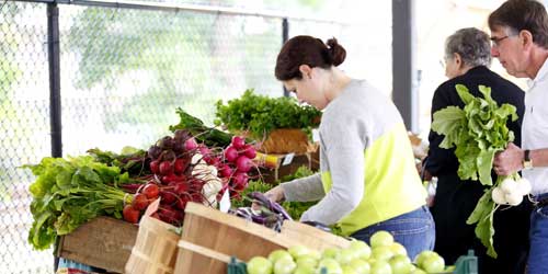 ma farmers markets