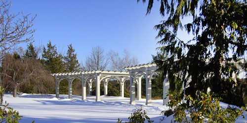Winter at New England Botanic Gardens - Boylston, MA