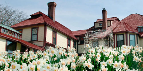 Gardens at Highfield Hall