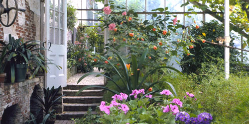 Lyman Estate Greenhouses in Waltham. MA