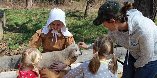 Meet a Spring Lamb - Old Sturbridge Village - Sturbridge, MA