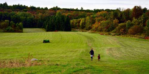 Running with Dog in Boxborough - Greater Merrimack Valley MA