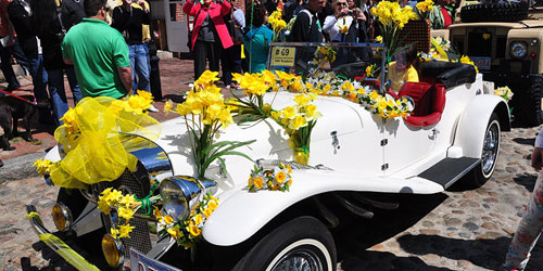 Nantucket Daffodil Festival - Nantucket, MA