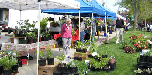 Guide to Massachusetts Farmers Markets