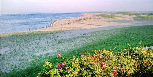 cahoon hollow beach