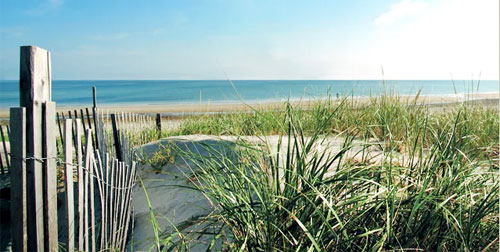 Head of the Meadow (Cape Cod National Seashore)