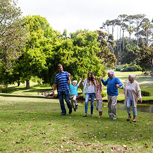 Family Activities