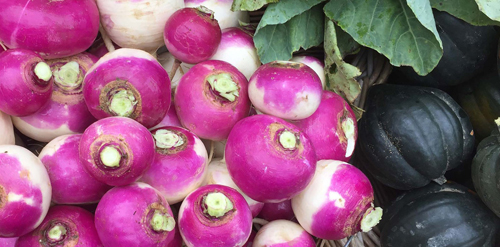 Amherst Winter Farmers Market - Amherst, MA