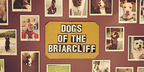 Dogs Wall - Briarclif Motel - Great Barrington, MA