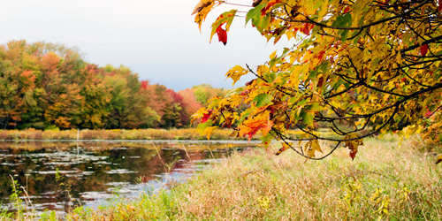 Sawmill park in Acushnet MA