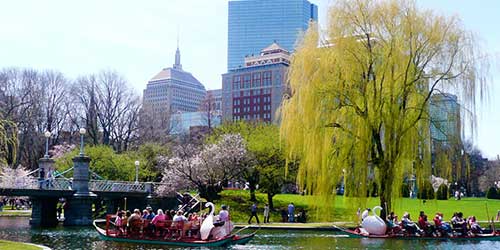 Duck Boats at Boston Common - Greater Boston & Cambridge, MA