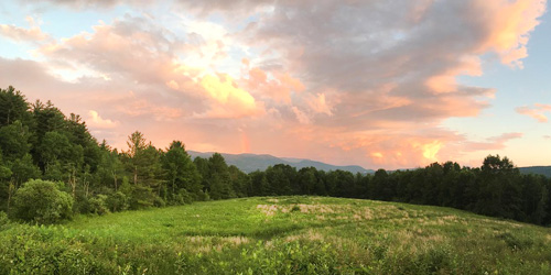 MOUNTAIN MEADOW PRESERVE