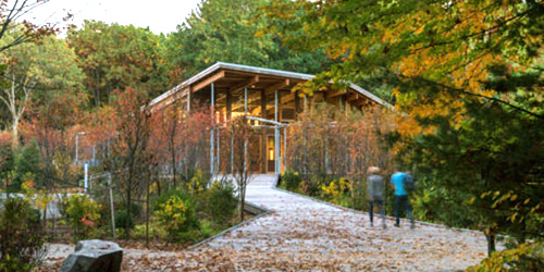 walden pond state reservation trails