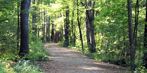 mount everett state reservation