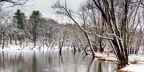 Frozen Landscape - Arcadia Nature Center & Wildlife Sanctuary - Easthampton, MA