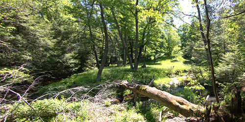 Laughing Brook Education Center & Sanctuary - Hampden, MA