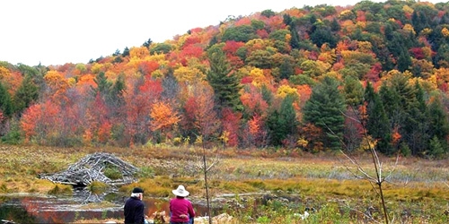 mclennen reservation