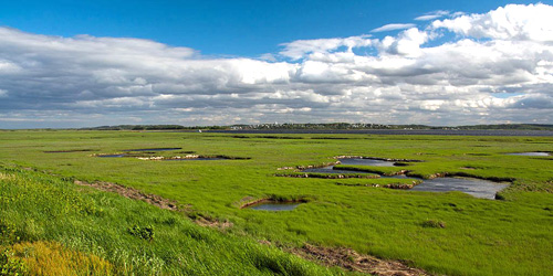 parker river wildlife refuge