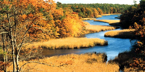 mashpee river reservation