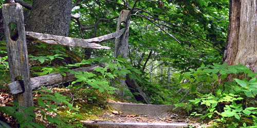 Trails of Cape Cod National Seashore