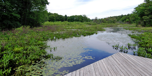 Broadmoor Wildlife Sanctuary - Natick, MA