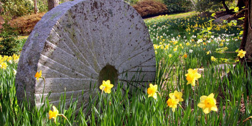 Spohr Gardens - Falmouth, MA