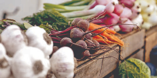 Greenfield Farmers Market - Greenfield, MA