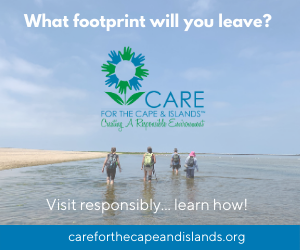 Care for the Cape and Islands