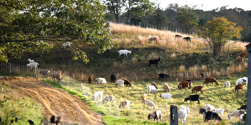 Hiking Trails on Martha's Vineyard, MA