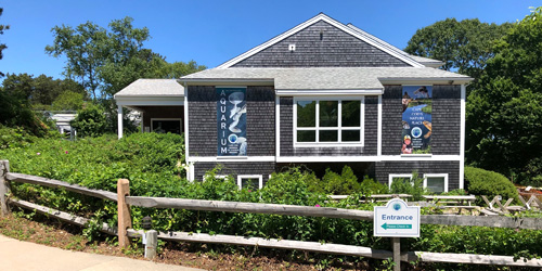 Cape Cod Museum of Natural History - Brewster, MA