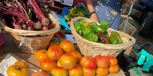 cape ann farmers market