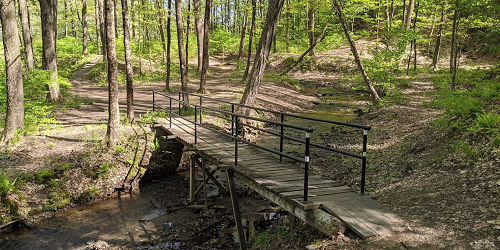 Trail Bridge - Robinson State Park - Feeding Hills, MA - Photo Credit Chris Thumm